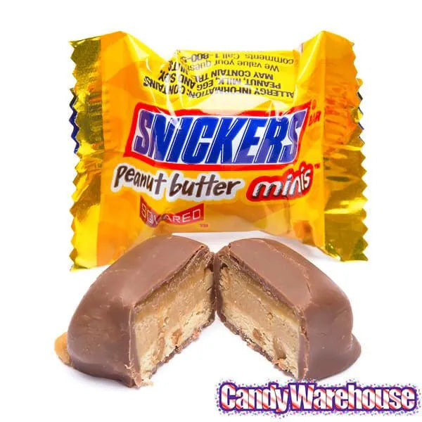 Snickers Peanut Butter Squared Minis Candy: 11.5-Ounce Bag