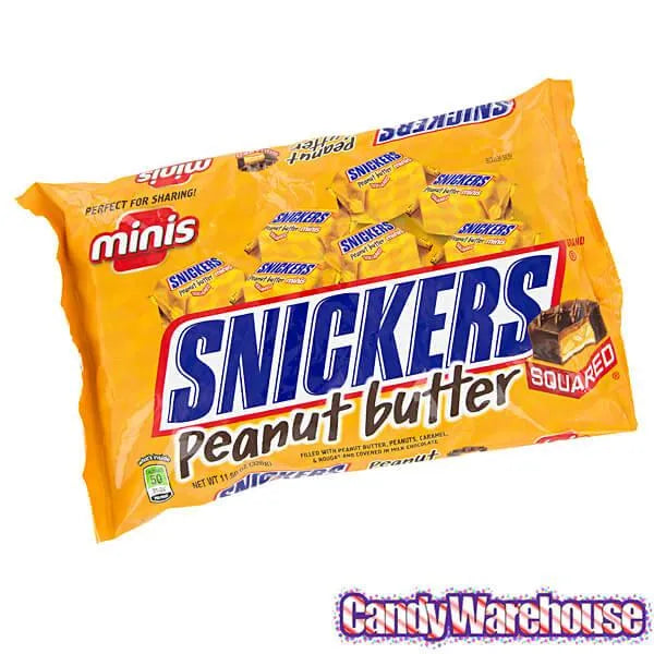 Snickers Peanut Butter Squared Minis Candy: 11.5-Ounce Bag