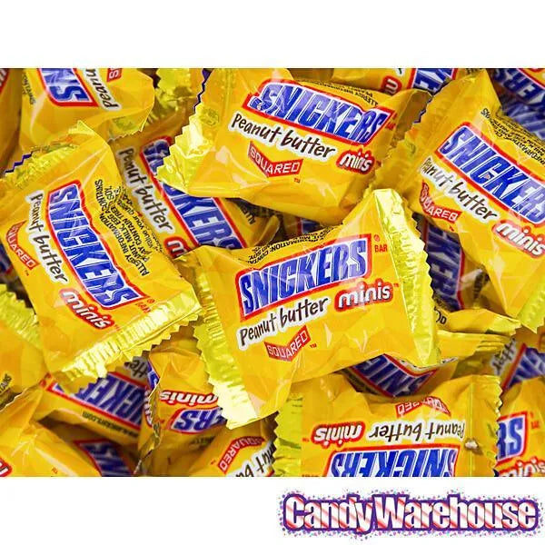 Snickers Peanut Butter Squared Minis Candy: 11.5-Ounce Bag