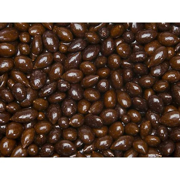 Sunbursts Chocolate Sunflower Seeds - Brown: 1LB Bag