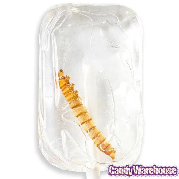 Tequila Worm Lollipops: 36-Piece Box