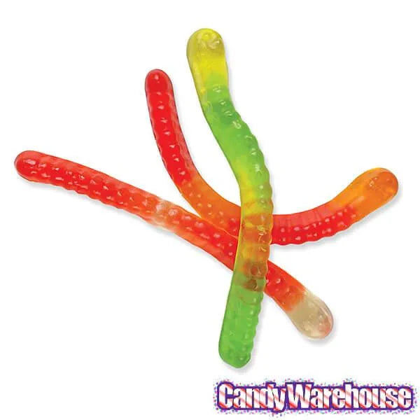 Trolli Squiggles Gummy Worms Candy: 5LB Bag