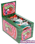 Watermelon Kids Candy: 12-Piece Box