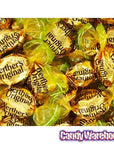 Werther's Original Caramel Apple Filled Hard Candy 2.65-Ounce Peg Bags: 12-Piece Case