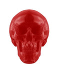 World's Largest Giant Gummy Skull