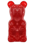 World's Largest 5 Pound Gummy Bear: 3CT Case